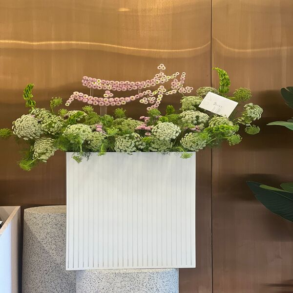 4a749e57_WhatsApp Image 2026-02-10 at 10.35.04 A.jpeg